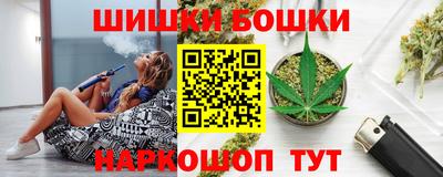 крисы Камышлов