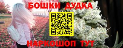 крисы Канаш