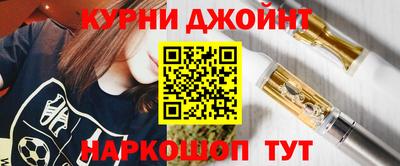 крисы Камышлов
