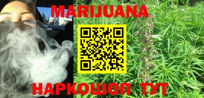 крисы Камышлов