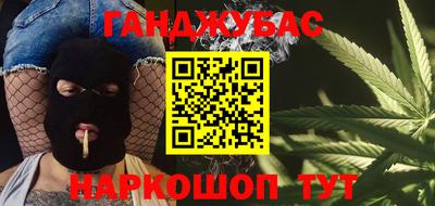 крисы Камышлов