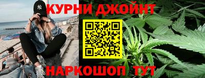 крисы Камышлов