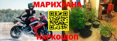 крисы Камышлов
