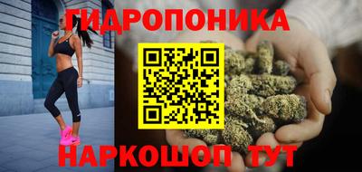 крисы Канаш