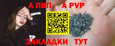 крисы Камышлов